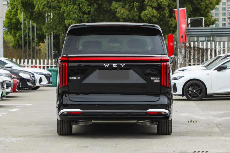 又一高端MPV预售，三种尺寸，标配四驱+智驾+冰箱彩电大沙发，纯电能跑201km