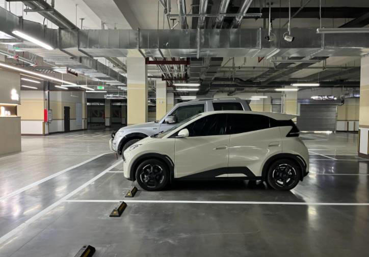 2025纯电动车销量榜：吉利星愿夺冠，元PLUS第九，智能化成新战场？