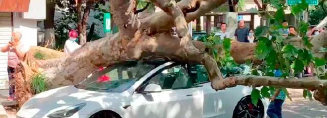 极氪001：安全性能全方位剖析，重新定义出行安全