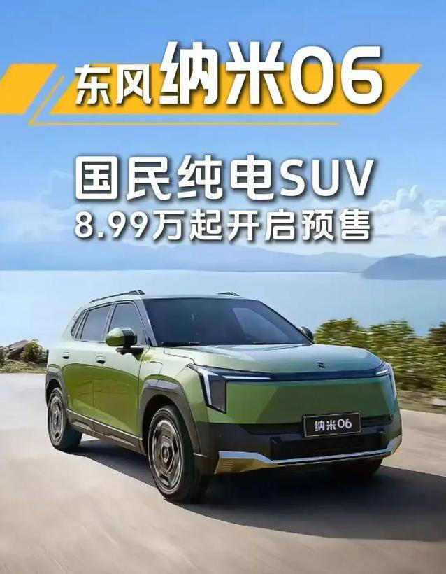 8万买纯电SUV，智能辅助开到爽，东风纳米06真值？