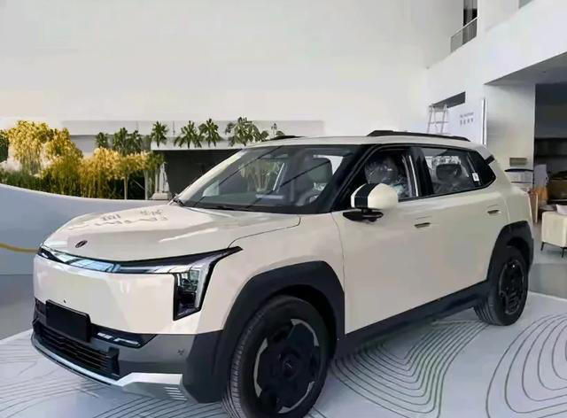 东风纳米06‖功能齐全，一款为国民量身打造的小型纯电SUV。