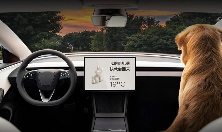 特斯拉ModelQ来了！外观很漂亮，或14万起，杀入比亚迪“舒适区”