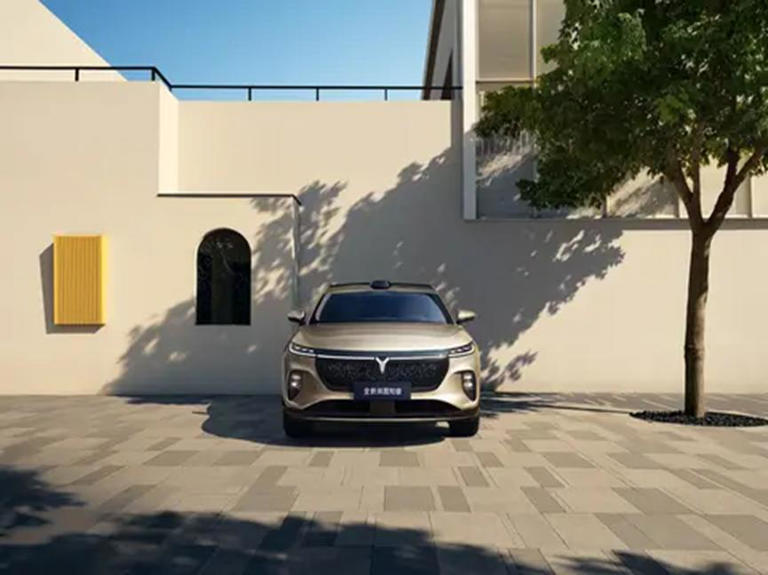 全新岚图知音上市：20万满血华为纯电SUV，重塑家用价值标杆