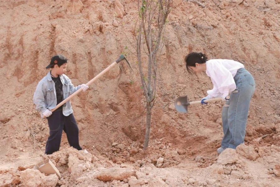 种下春天的希望