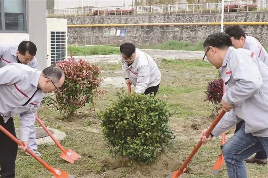 五载同心植青绿 东风张湾筑家园